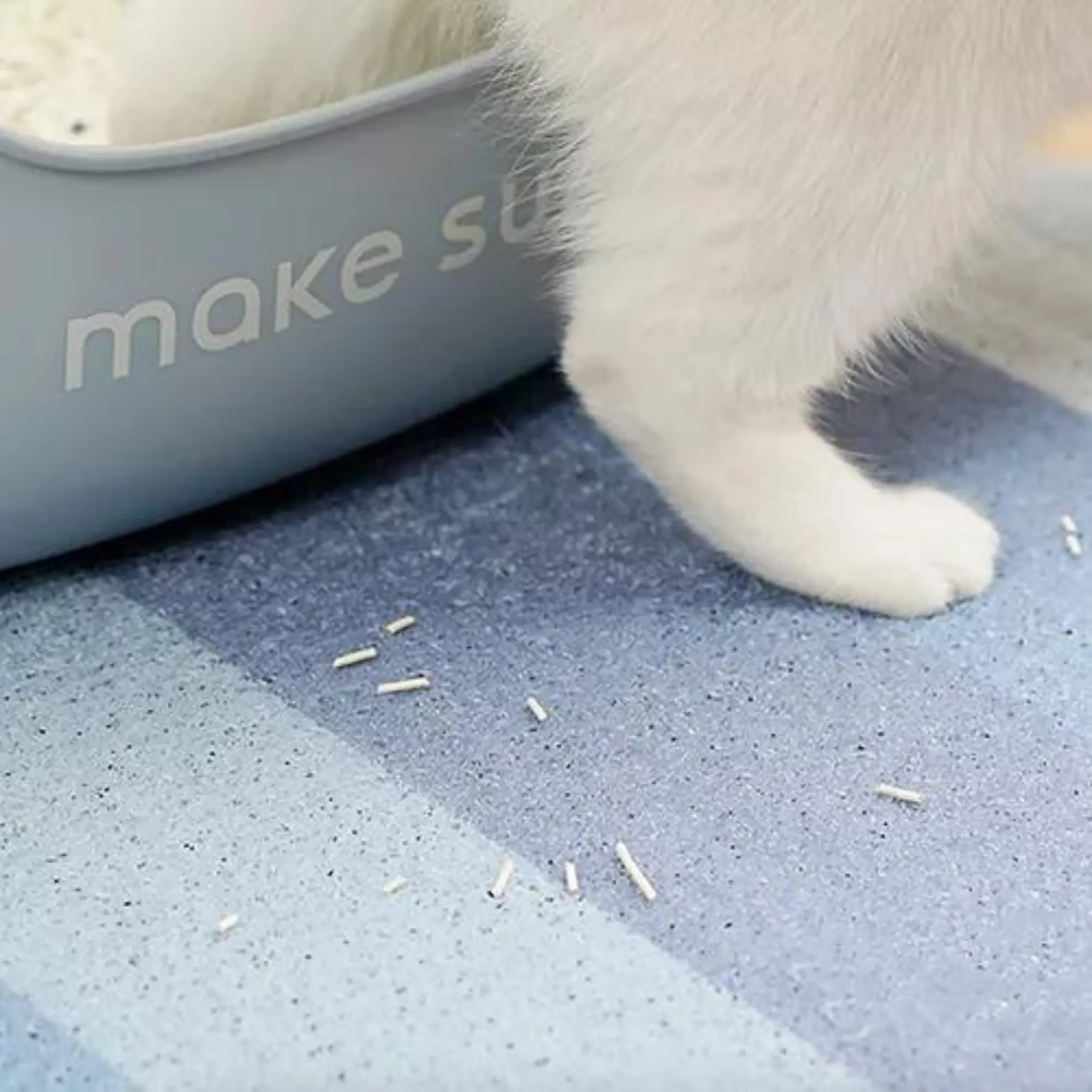 Makesure Open Cat Litter Tray and Mat Blue