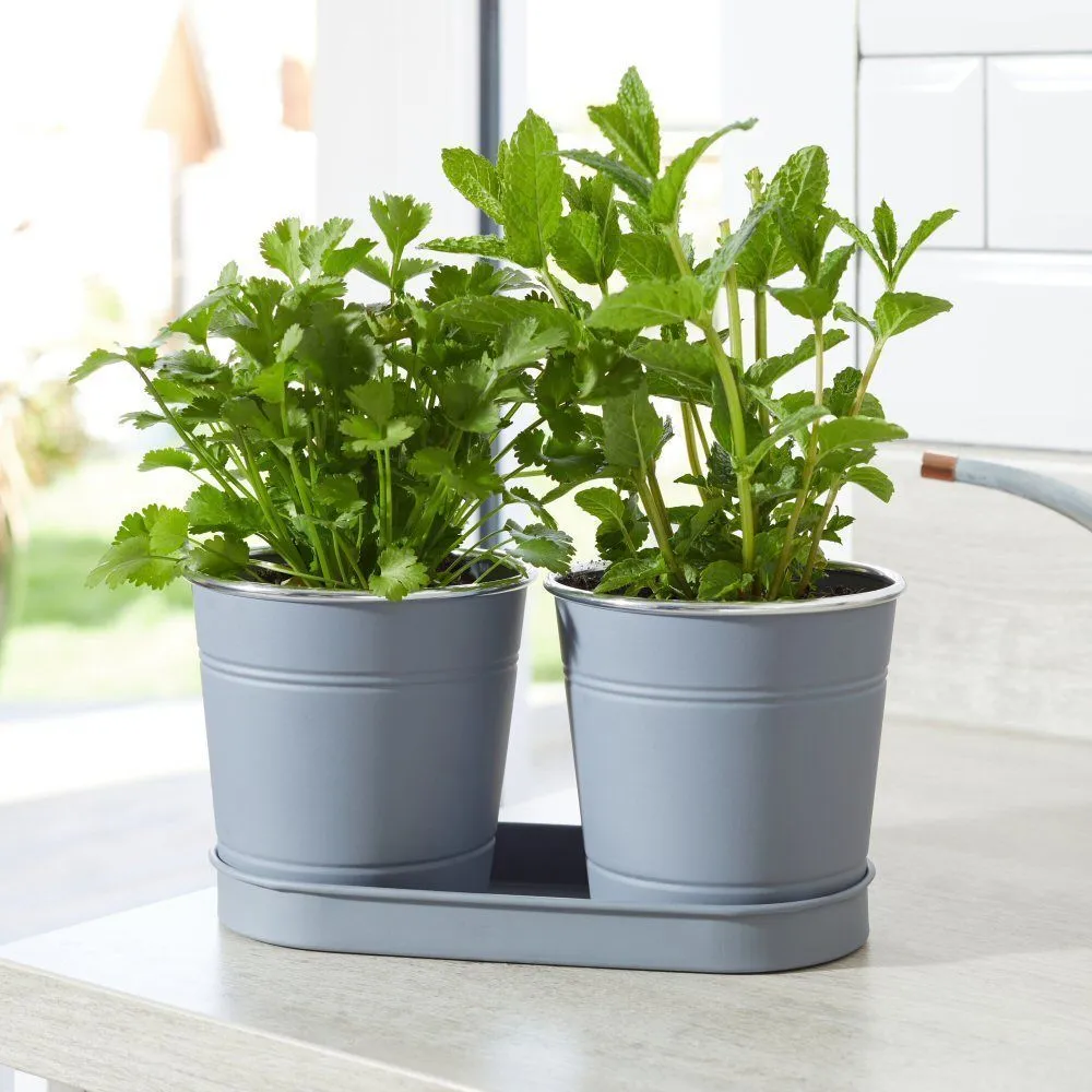 Smart Garden 1 Litre Slate Metal Windowsill Herb Pots